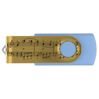 Classical Music Notes USB Flash Drive