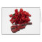 ClassicalRosesViolin012511