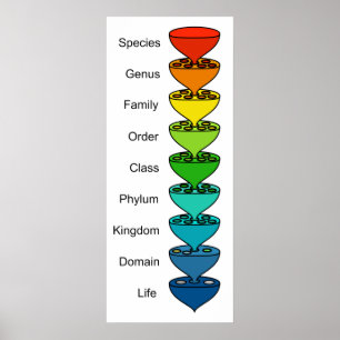 Classifying the Diversity of Organic Life Chart