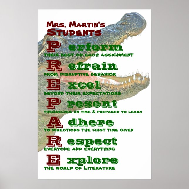 Classroom Rules / Guidelines Poster (Front)