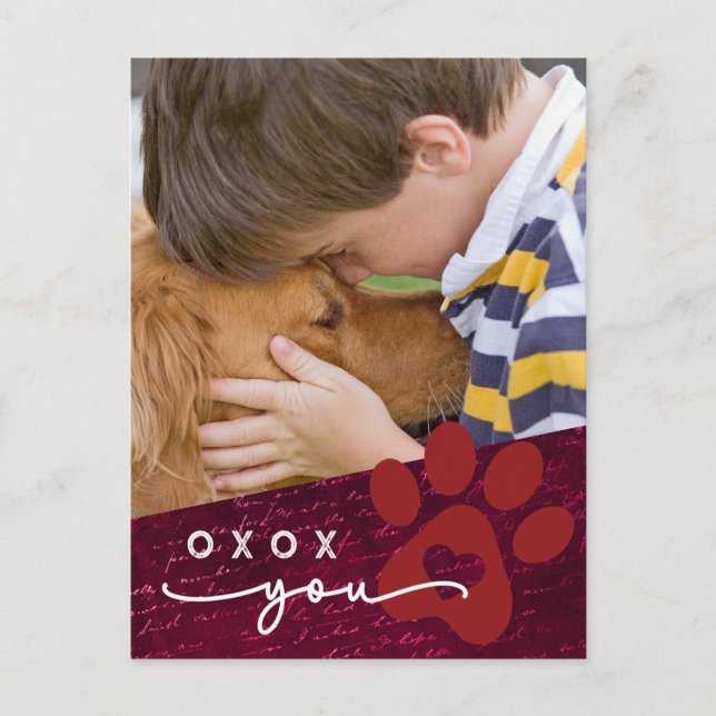 Classroom Valentine Child Pet Custom Photo  Holiday Postcard (Front)
