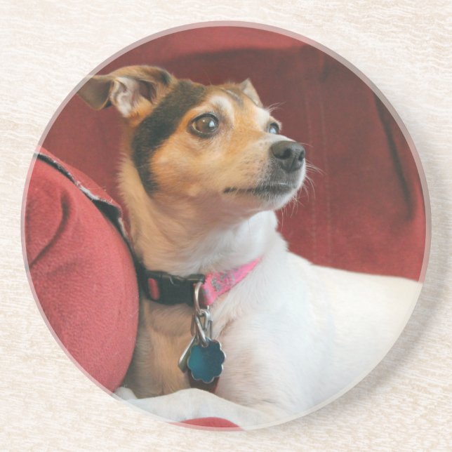 Classy  coaster (Front)