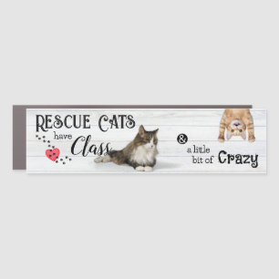 Classy & Crazy Rescue Cats Car Magnet