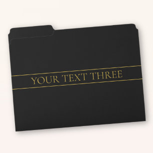 Classy Customizable Gold Text & Lines File Folder