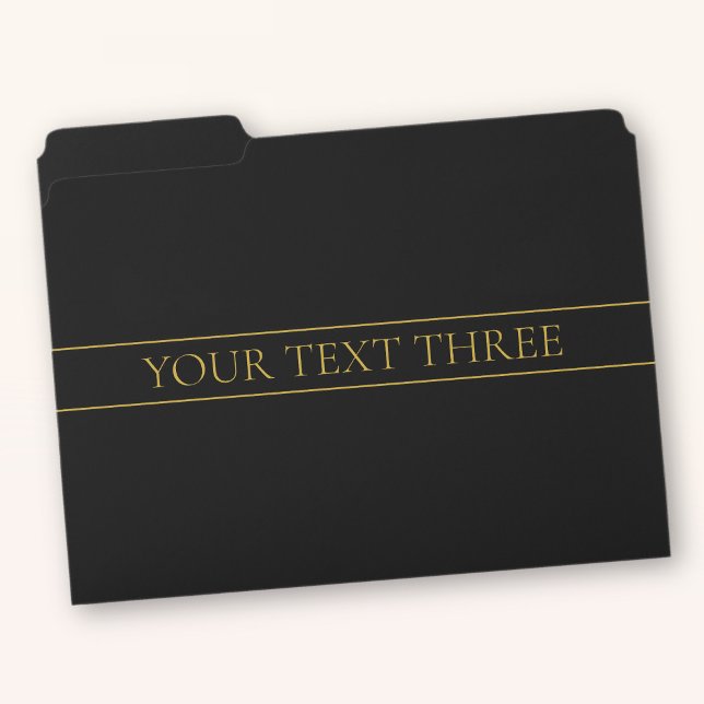 Classy Customizable Gold Text & Lines File Folder (Creator Uploaded)