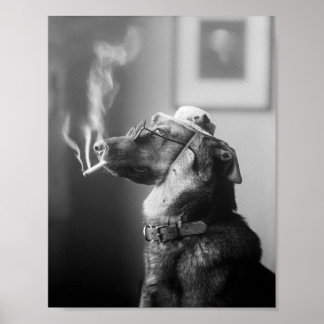 Classy Dog Smoking a Cigaret Poster