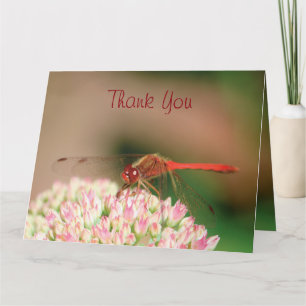 Classy Dragonfly Thank You
