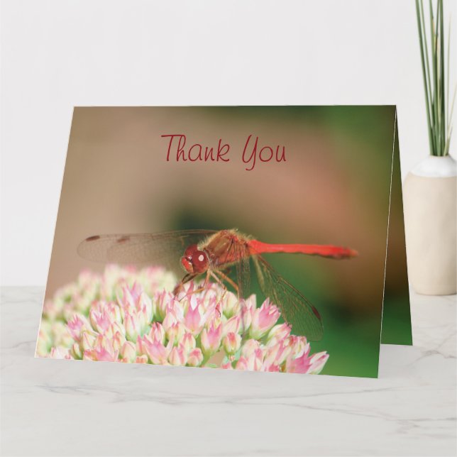 Classy Dragonfly Thank You Card (Front)