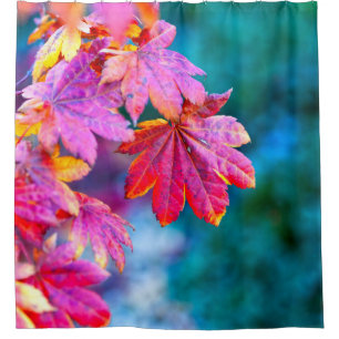 Classy Japanese Maple leaves Shower Curtain