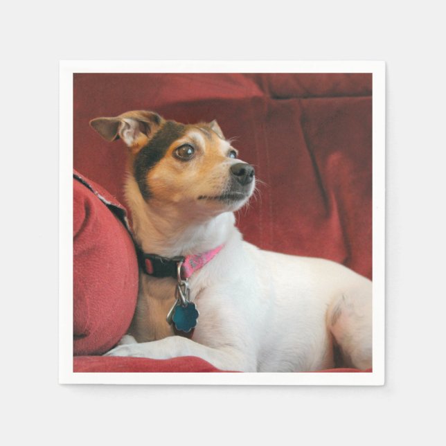  Classy Napkins (Front)