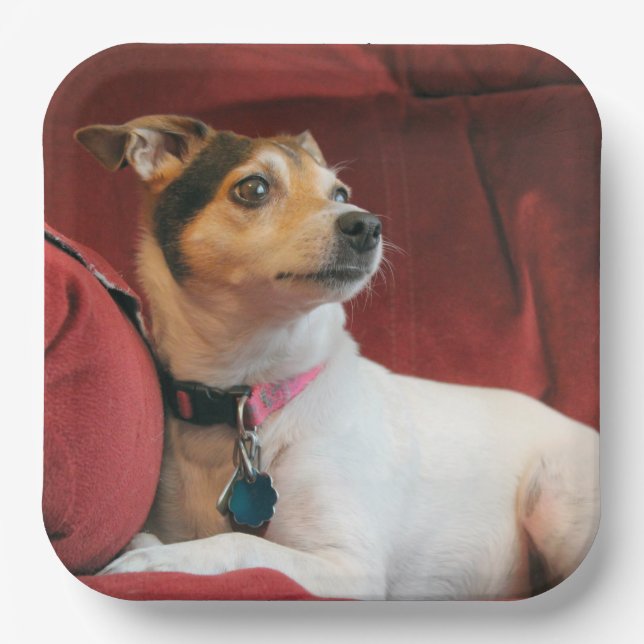  Classy Paper Plates (Front)