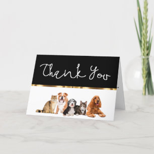 Classy Pet Rescue or Association Thank You Cards