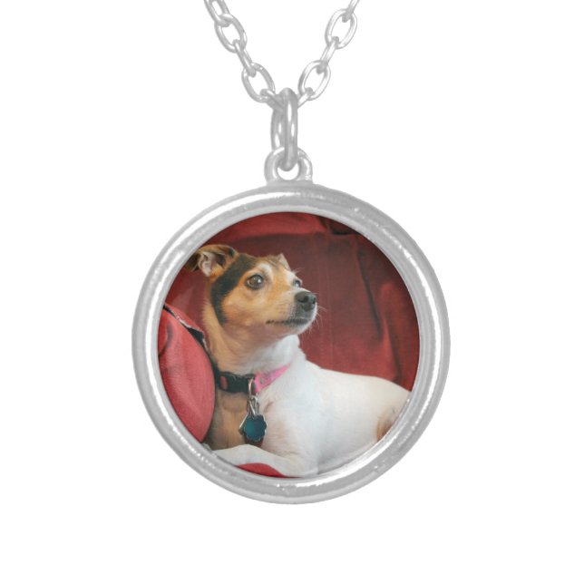 Classy Silver Plated Necklace (Front)