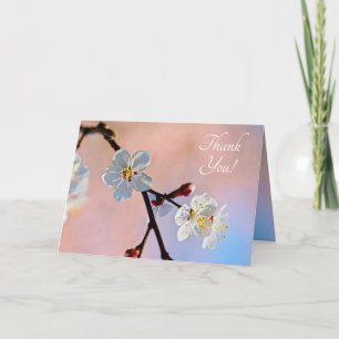 Classy White Japanese Apricot Flowers Letterpress Thank You Card