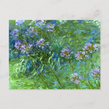Claude Monet: Agapanthus Postcard by vintagechest at Zazzle