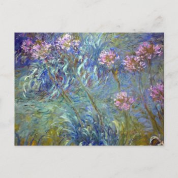 Claude Monet Agapanthus Postcard by unique_cases at Zazzle