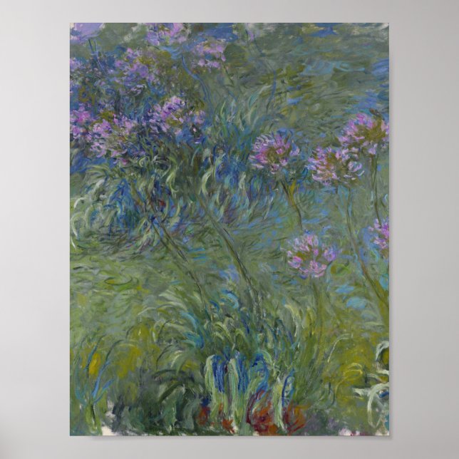 Claude Monet - Agapanthus Poster (Front)