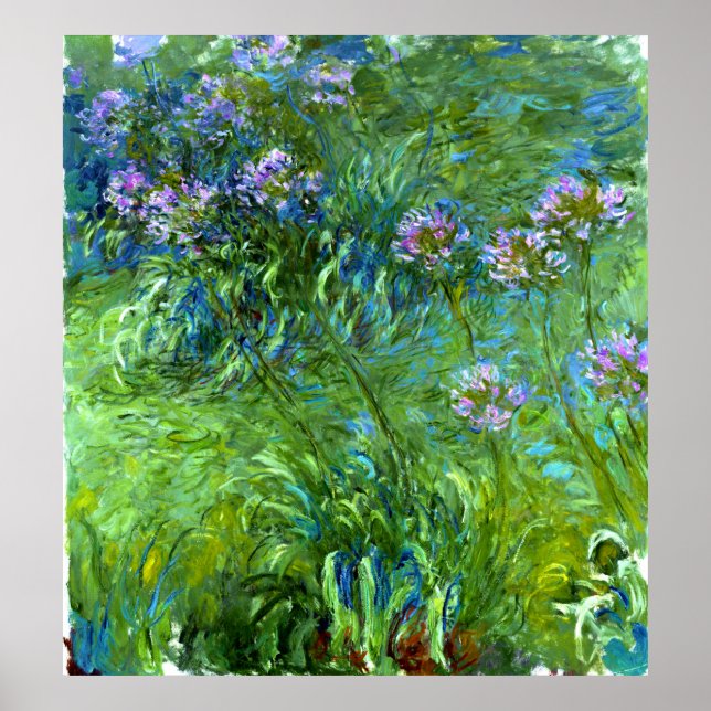 Claude Monet: Agapanthus Poster (Front)