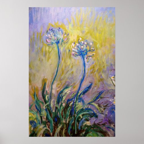 Claude Monet _ Agapanthus Poster