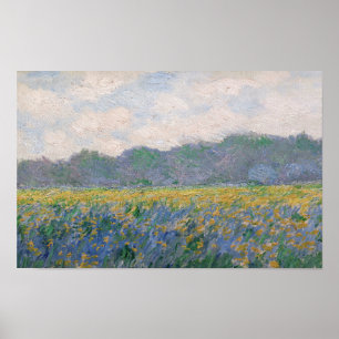 Claude Monet - Field of Yellow Irises at Giverny Poster