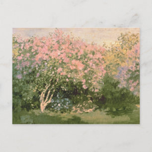 Claude Monet Lilac in the Sun, 1873 Postcard