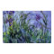 Claude Monet - Lilac Irises Mauves 1917