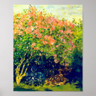 Claude Monet Poster