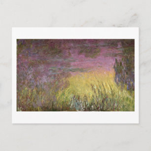 Claude Monet Waterlilies at Sunset Postcard