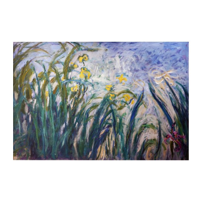 Claude Monet - Yellow and Purple Irises Acrylic Print (Front)