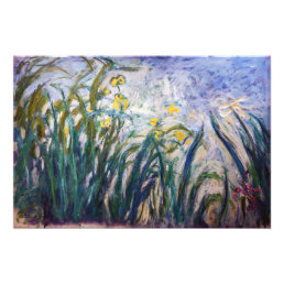 Claude Monet - Yellow and Purple Irises Photo Print