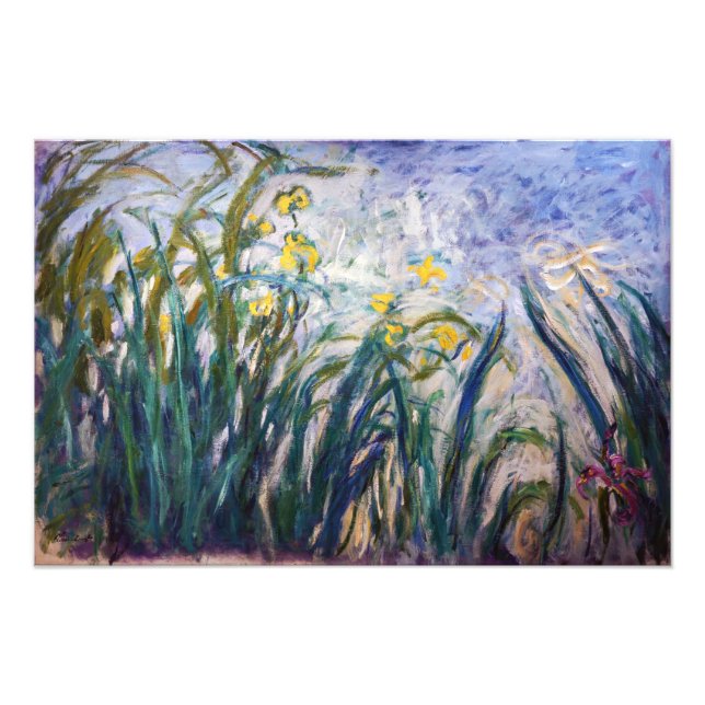 Claude Monet - Yellow and Purple Irises Photo Print (Front)