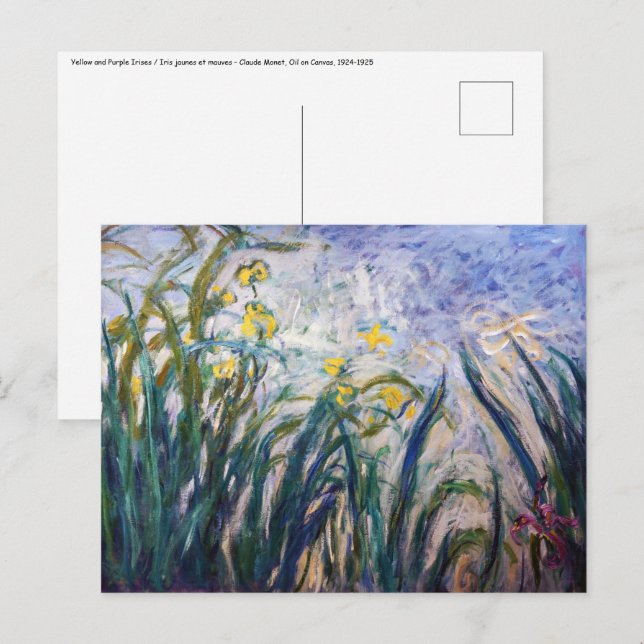 Claude Monet - Yellow and Purple Irises Postcard (Front/Back)