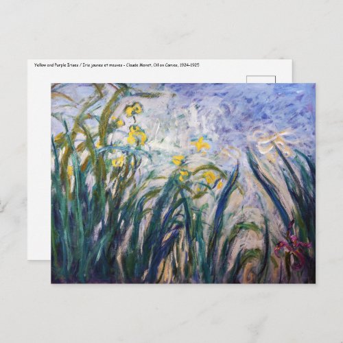 Claude Monet _ Yellow and Purple Irises Postcard
