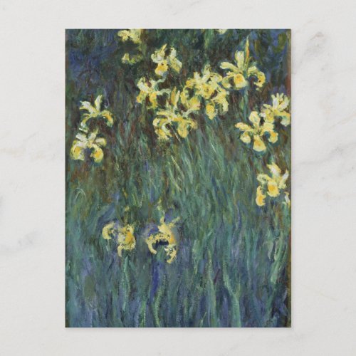 Claude Monet _ Yellow Irises Postcard