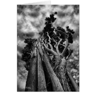 Clawing The Skies blank notelet / card