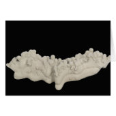 Clay Concretion (Front Horizontal)