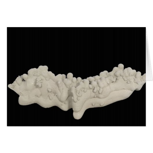 Clay Concretion Cards (Front Horizontal)