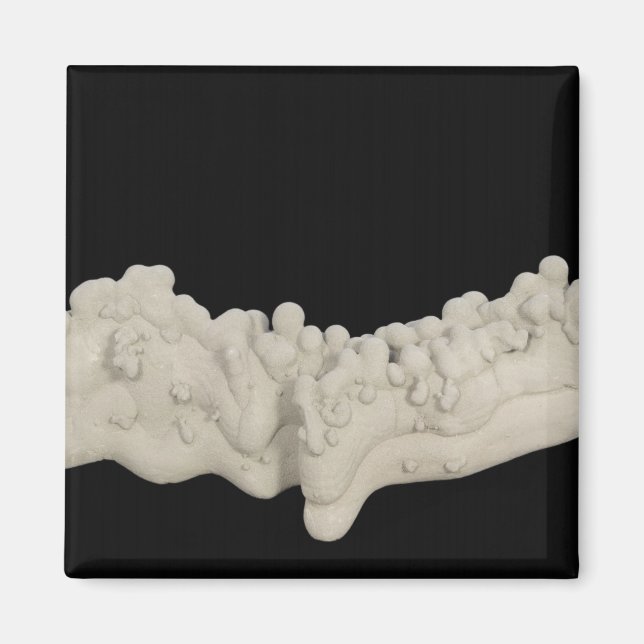 Clay Concretion Magnet (Front)