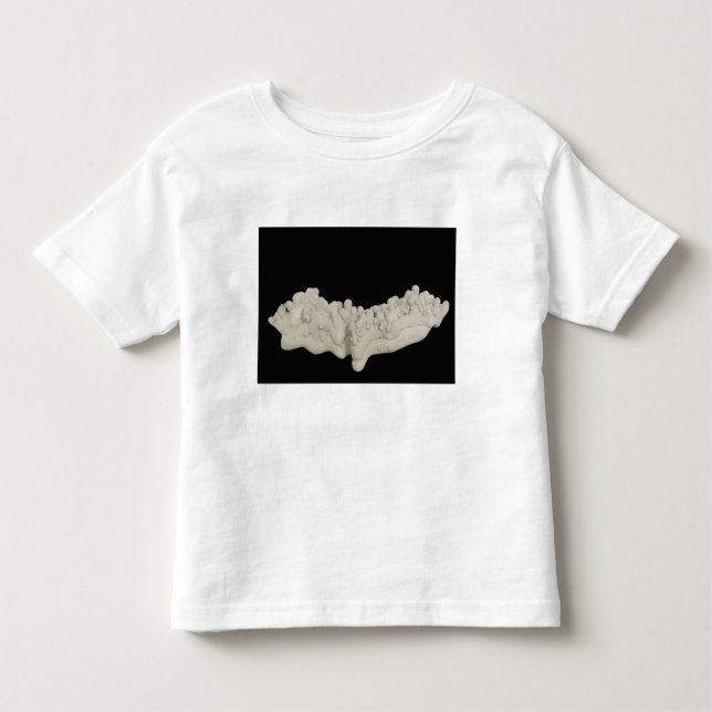Clay Concretion Toddler T-shirt (Front)