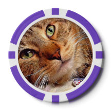 Clay Poker Chips - "Green Eyed Kitty" by SnapDaddy