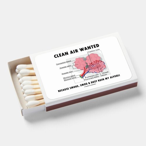 Clean Air Wanted Because Smoke Ruin Alveoli Humor Matchboxes