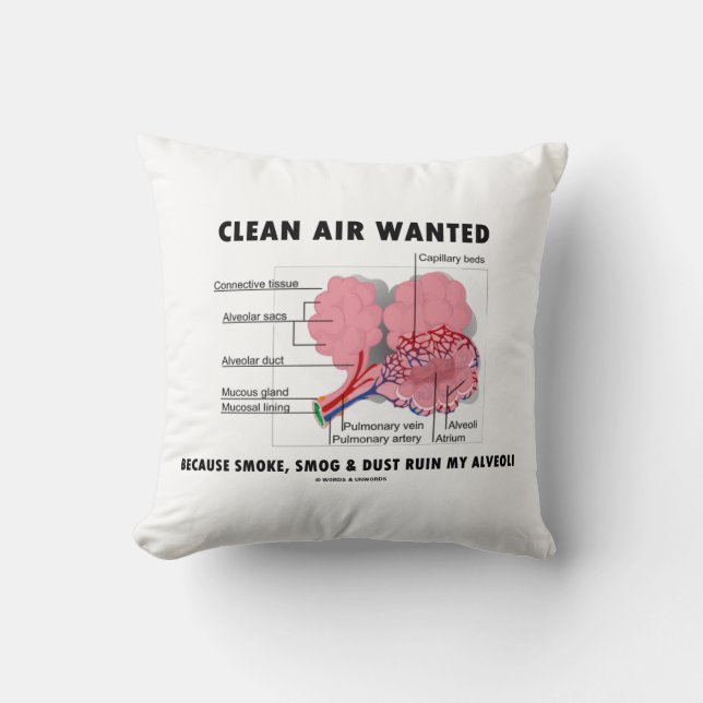 Clean Air Wanted Because Smoke Ruin Alveoli Humor Throw Pillow (Front)