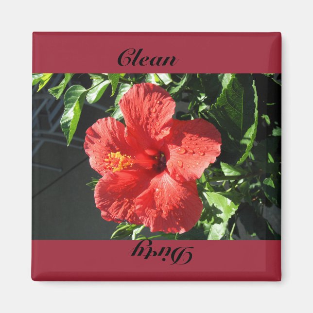 clean,dirty magnet (Front)