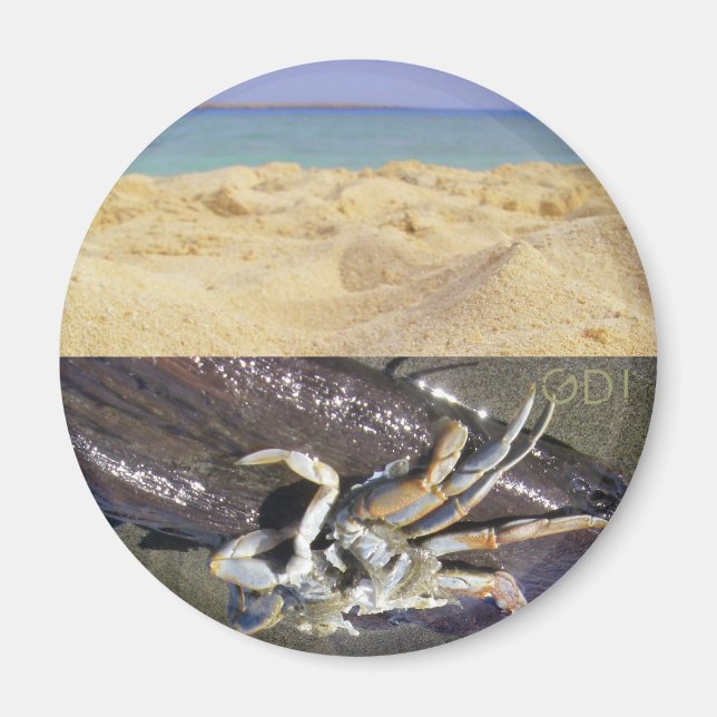 Clean or Dirty? GDI! Magnet (Front)