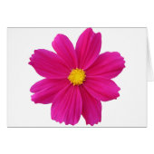 Clean.png (Front Horizontal)