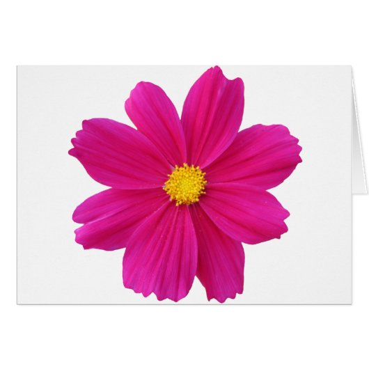 Clean.png (Front Horizontal)