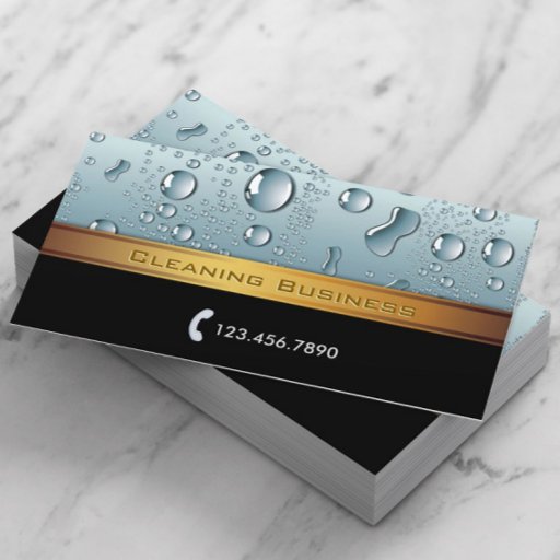 Customizable Cleaning Service Gold Stripe Business Card