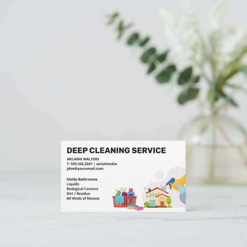 Cleaning Services | Maid Spraying | Clean Products Business Card | Zazzle