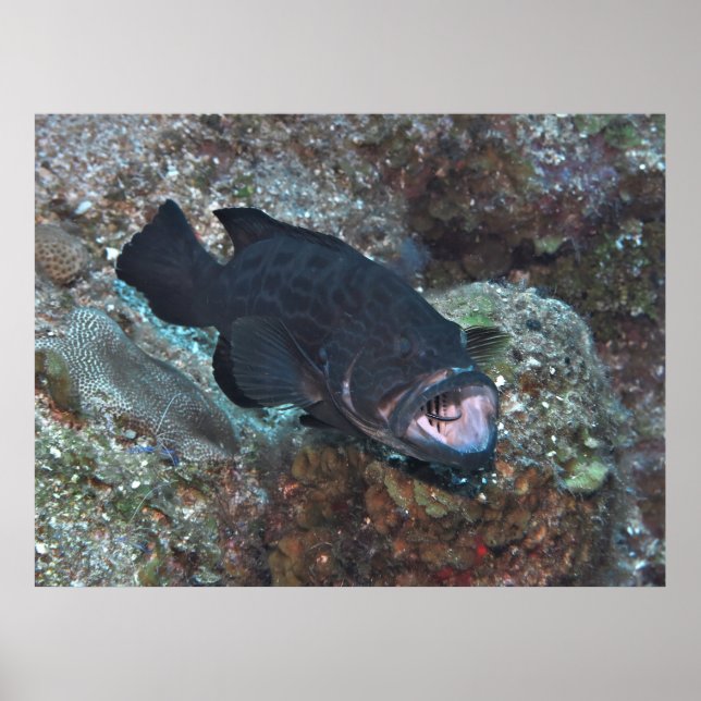 Cleaning Station Poster (Front)