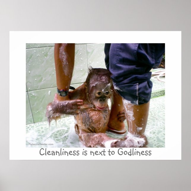 Cleanliness is Next to Godliness Poster (Front)